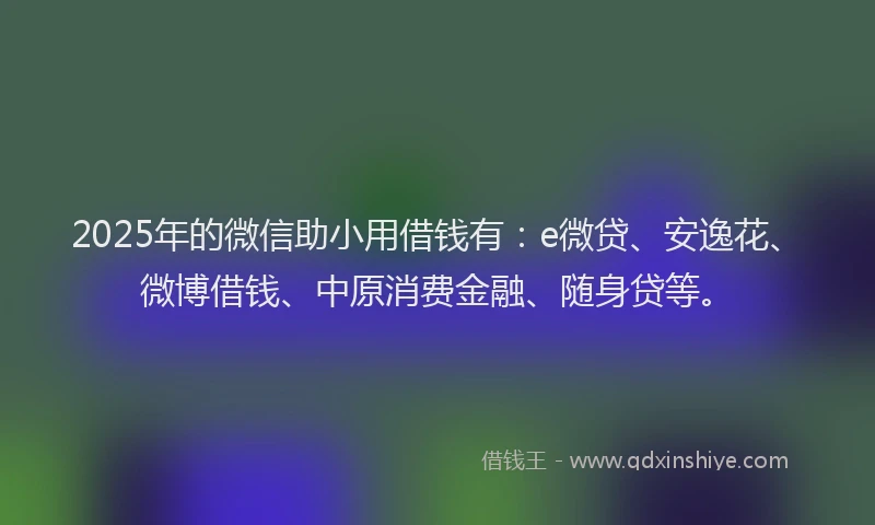 2025年的微信助小用借钱有：e微贷、安逸花、微博借钱、中原消费金融、随身贷等。