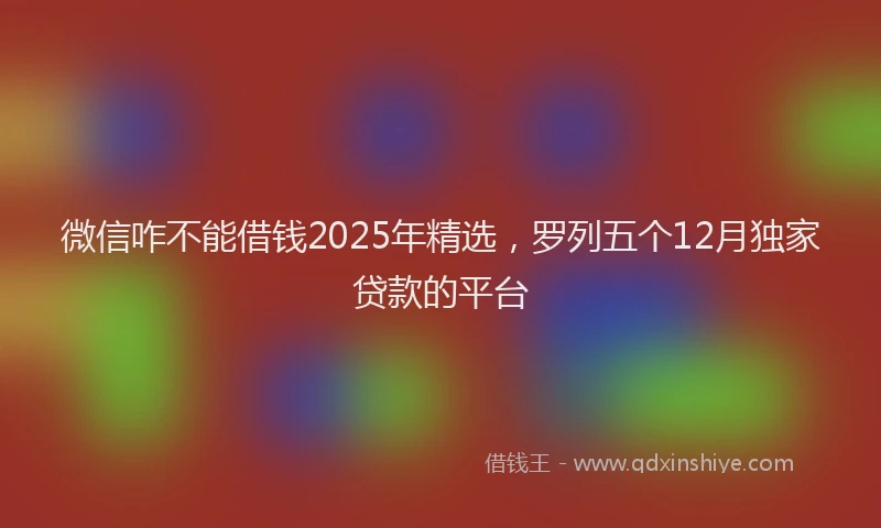 微信咋不能借钱2025年精选，罗列五个12月独家贷款的平台