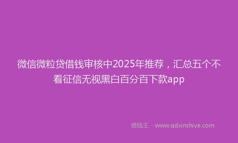 微信微粒贷借钱审核中2025年推荐，汇总五个不看征信无视黑白百分百下款app