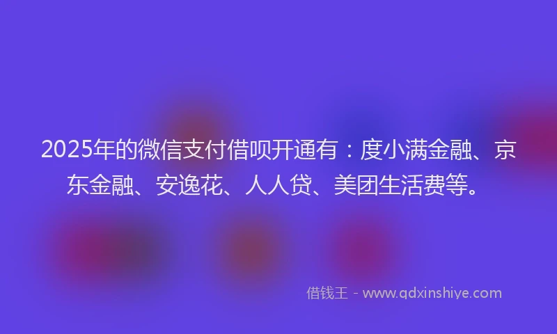 2025年的微信支付借呗开通有：度小满金融、京东金融、安逸花、人人贷、美团生活费等。