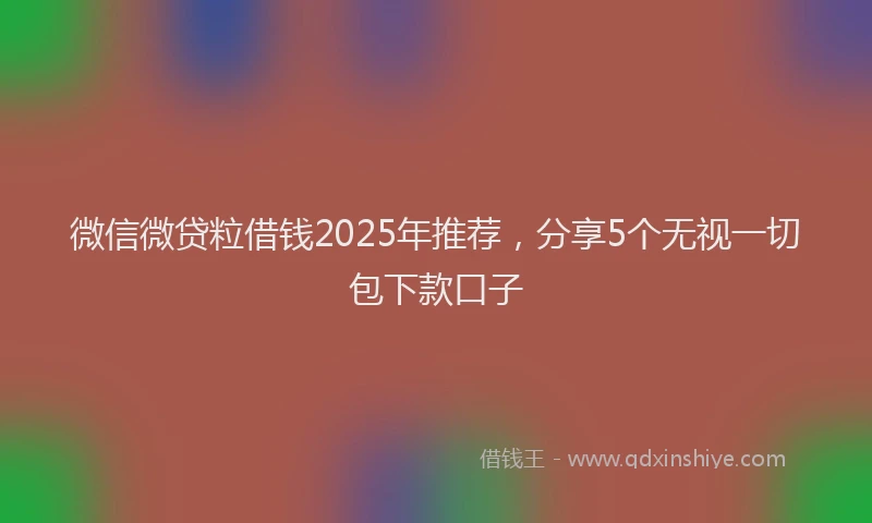 微信微贷粒借钱2025年推荐，分享5个无视一切包下款口子