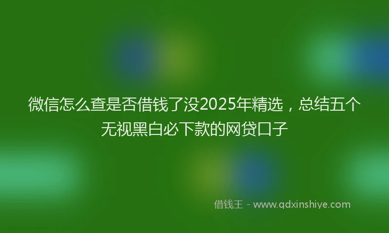 微信怎么查是否借钱了没2025年精选，总结五个无视黑白必下款的网贷口子