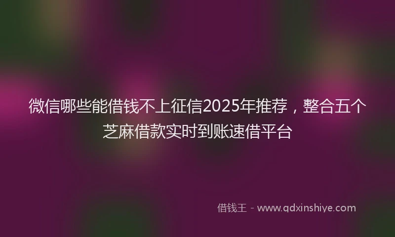 微信哪些能借钱不上征信2025年推荐，整合五个芝麻借款实时到账速借平台