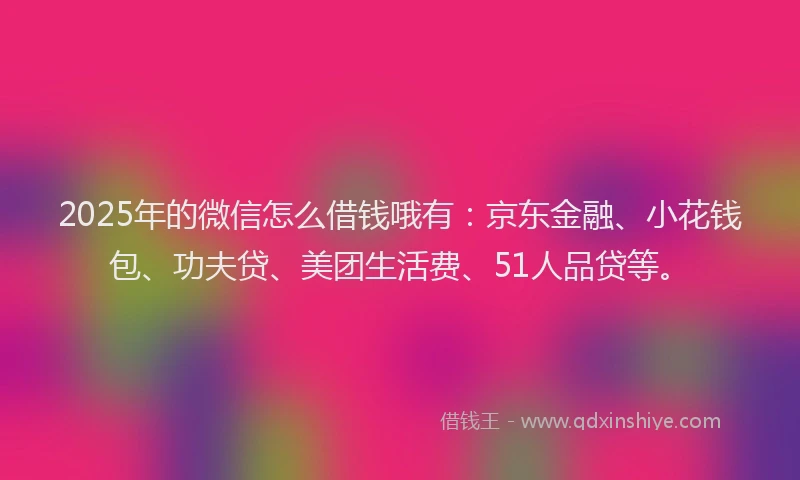2025年的微信怎么借钱哦有：京东金融、小花钱包、功夫贷、美团生活费、51人品贷等。
