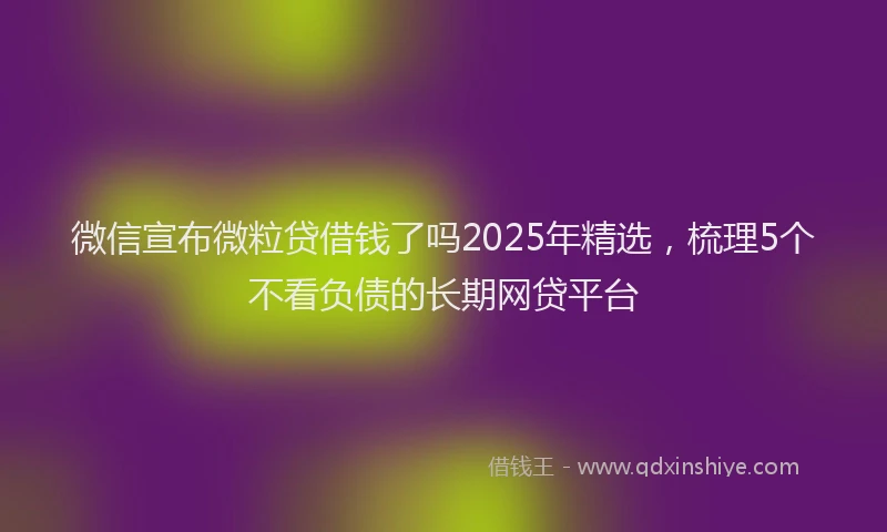 微信宣布微粒贷借钱了吗2025年精选，梳理5个不看负债的长期网贷平台