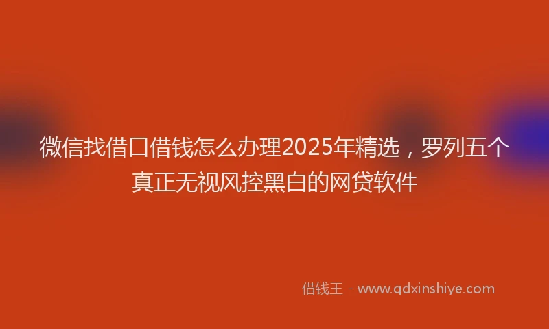 微信找借口借钱怎么办理2025年精选，罗列五个真正无视风控黑白的网贷软件