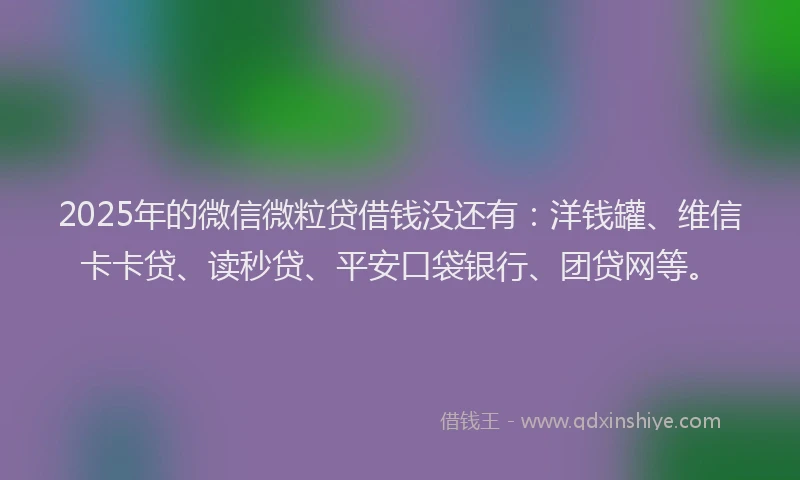 2025年的微信微粒贷借钱没还有：洋钱罐、维信卡卡贷、读秒贷、平安口袋银行、团贷网等。