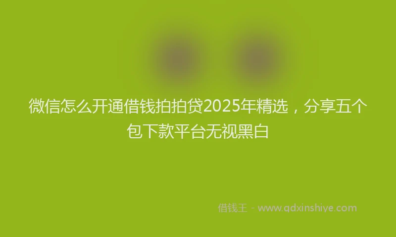微信怎么开通借钱拍拍贷2025年精选，分享五个包下款平台无视黑白