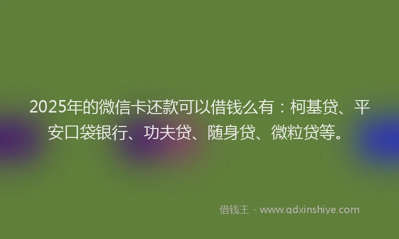 2025年的微信卡还款可以借钱么有：柯基贷、平安口袋银行、功夫贷、随身贷、微粒贷等。