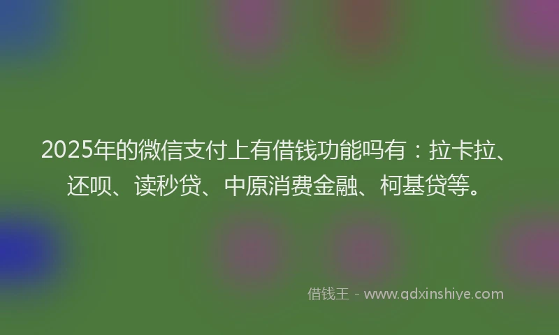 2025年的微信支付上有借钱功能吗有：拉卡拉、还呗、读秒贷、中原消费金融、柯基贷等。