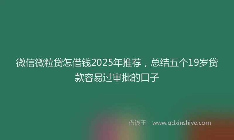 微信微粒贷怎借钱2025年推荐，总结五个19岁贷款容易过审批的口子