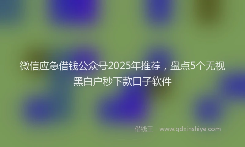 微信应急借钱公众号2025年推荐，盘点5个无视黑白户秒下款口子软件
