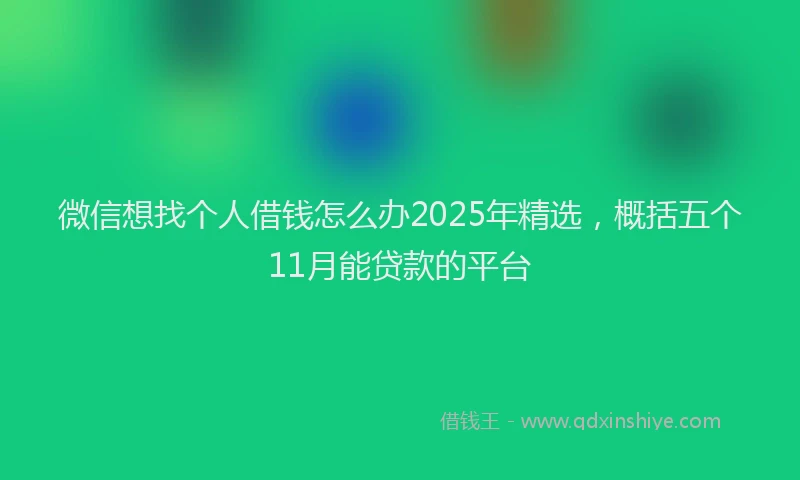 微信想找个人借钱怎么办2025年精选，概括五个11月能贷款的平台