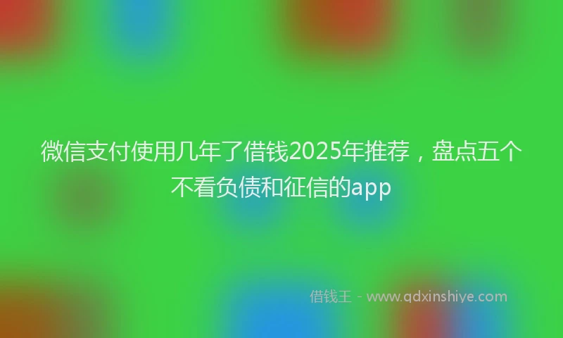 微信支付使用几年了借钱2025年推荐，盘点五个不看负债和征信的app