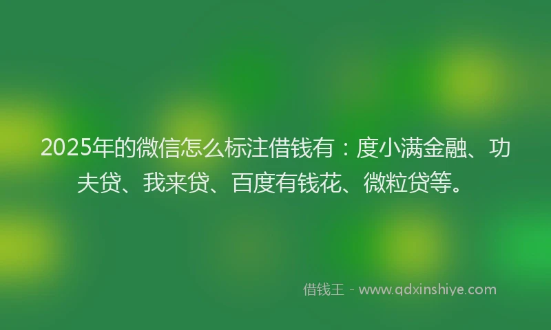 2025年的微信怎么标注借钱有：度小满金融、功夫贷、我来贷、百度有钱花、微粒贷等。