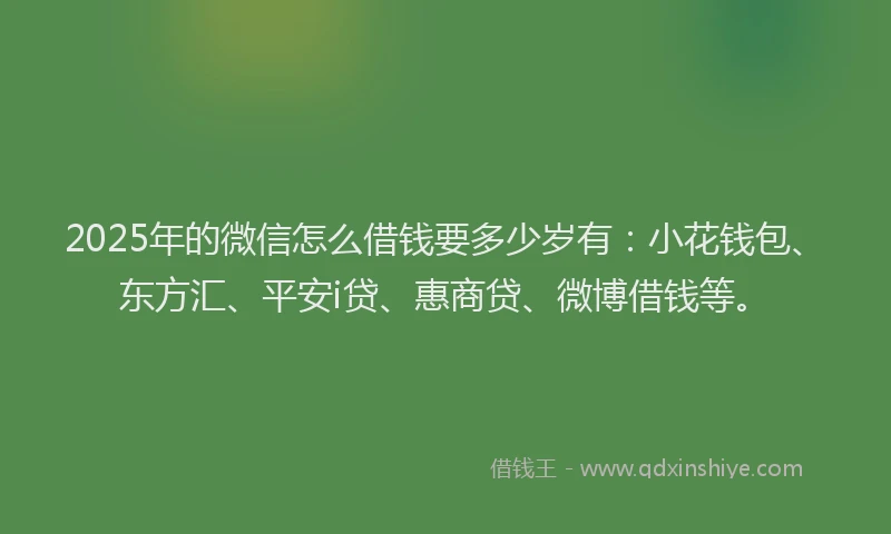 2025年的微信怎么借钱要多少岁有：小花钱包、东方汇、平安i贷、惠商贷、微博借钱等。