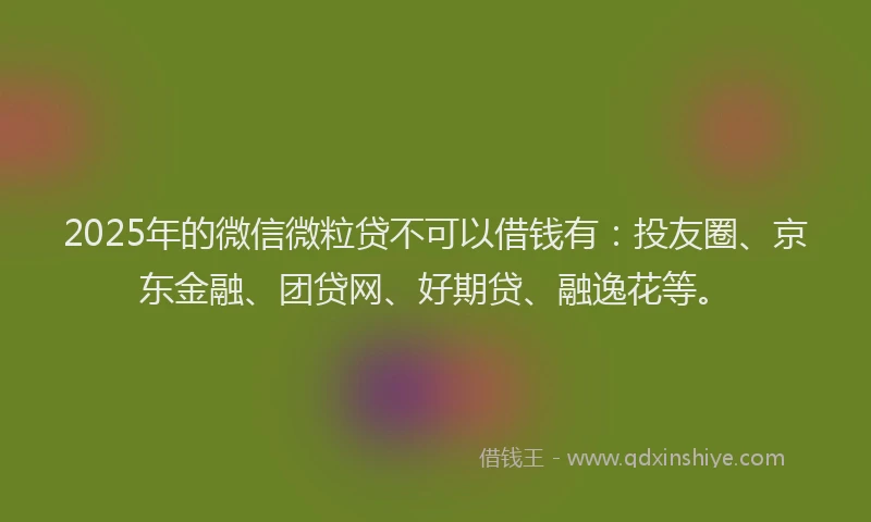 2025年的微信微粒贷不可以借钱有：投友圈、京东金融、团贷网、好期贷、融逸花等。