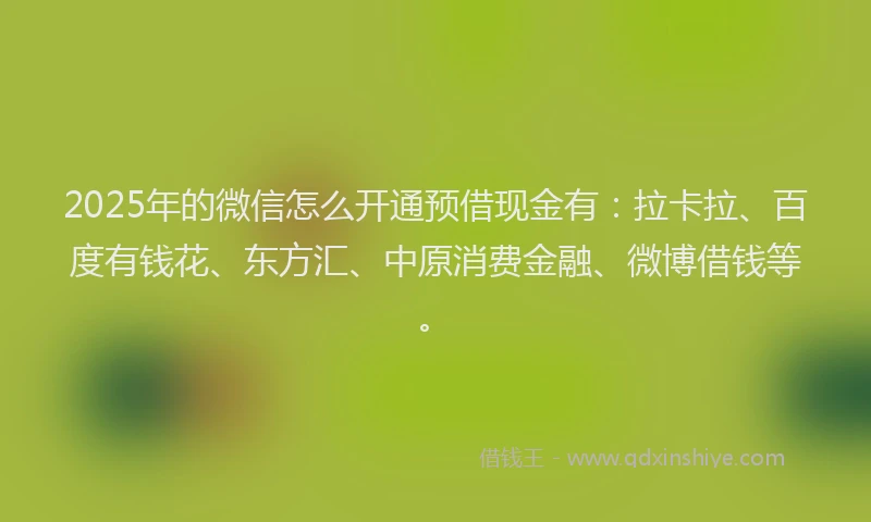 2025年的微信怎么开通预借现金有：拉卡拉、百度有钱花、东方汇、中原消费金融、微博借钱等。