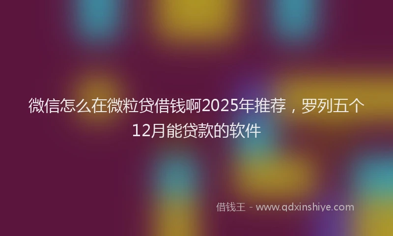 微信怎么在微粒贷借钱啊2025年推荐，罗列五个12月能贷款的软件