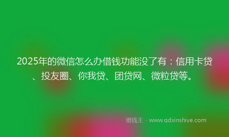 2025年的微信怎么办借钱功能没了有：信用卡贷、投友圈、你我贷、团贷网、微粒贷等。