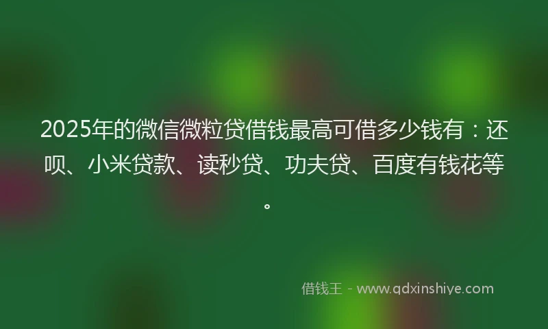 2025年的微信微粒贷借钱最高可借多少钱有：还呗、小米贷款、读秒贷、功夫贷、百度有钱花等。