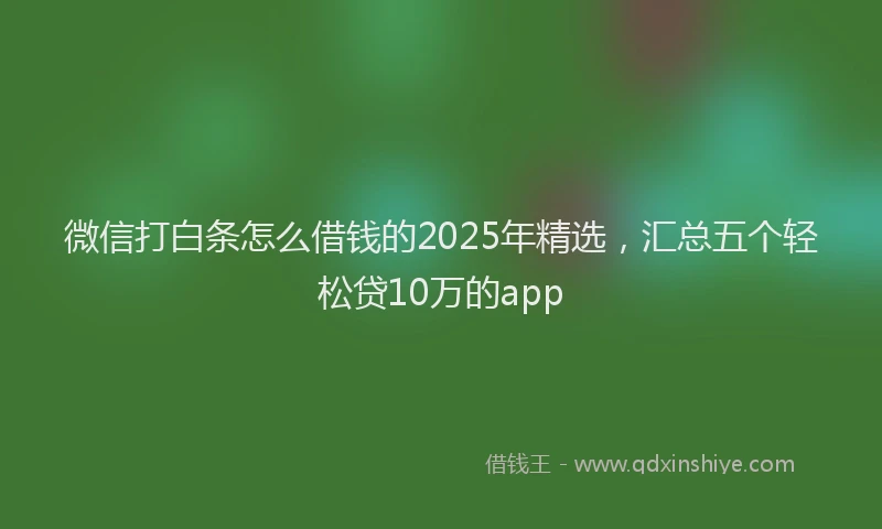 微信打白条怎么借钱的2025年精选，汇总五个轻松贷10万的app