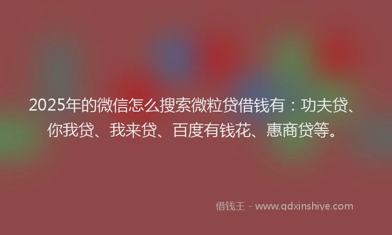 2025年的微信怎么搜索微粒贷借钱有：功夫贷、你我贷、我来贷、百度有钱花、惠商贷等。