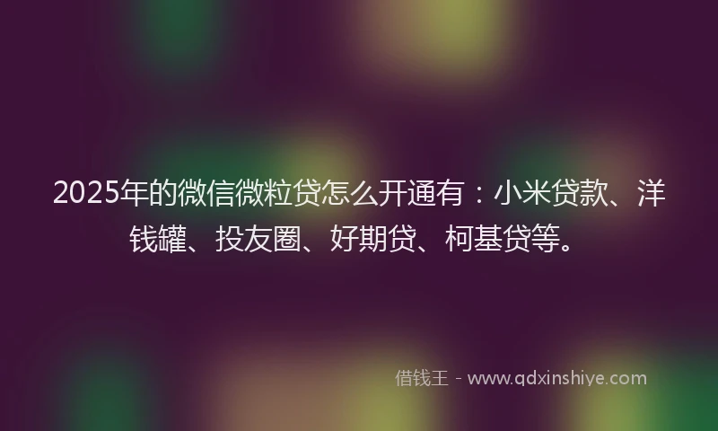 2025年的微信微粒贷怎么开通有：小米贷款、洋钱罐、投友圈、好期贷、柯基贷等。