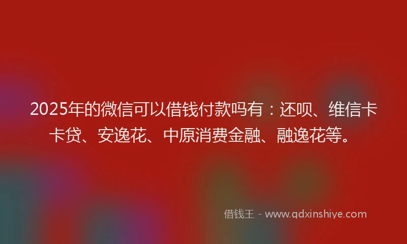 2025年的微信可以借钱付款吗有：还呗、维信卡卡贷、安逸花、中原消费金融、融逸花等。