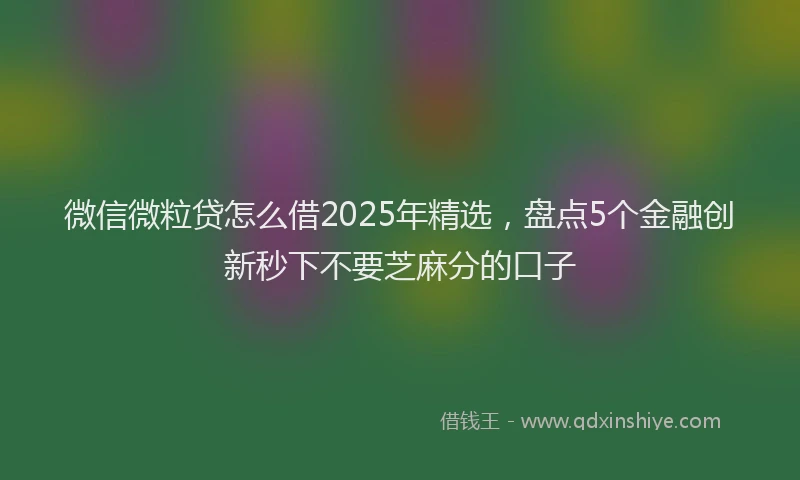 微信微粒贷怎么借2025年精选，盘点5个金融创新秒下不要芝麻分的口子