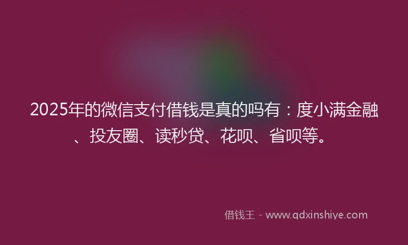2025年的微信支付借钱是真的吗有：度小满金融、投友圈、读秒贷、花呗、省呗等。