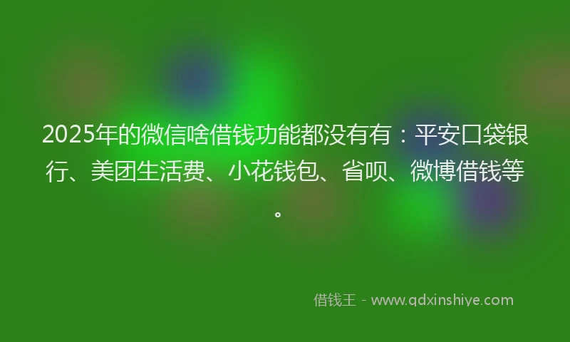 2025年的微信啥借钱功能都没有有：平安口袋银行、美团生活费、小花钱包、省呗、微博借钱等。
