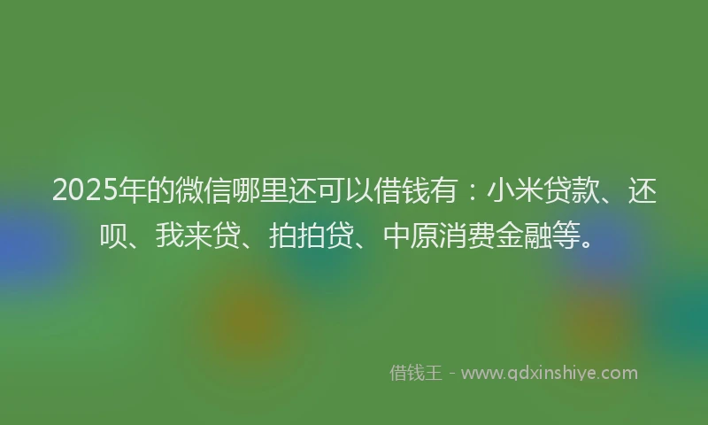 2025年的微信哪里还可以借钱有：小米贷款、还呗、我来贷、拍拍贷、中原消费金融等。