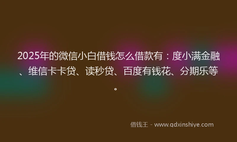 2025年的微信小白借钱怎么借款有：度小满金融、维信卡卡贷、读秒贷、百度有钱花、分期乐等。