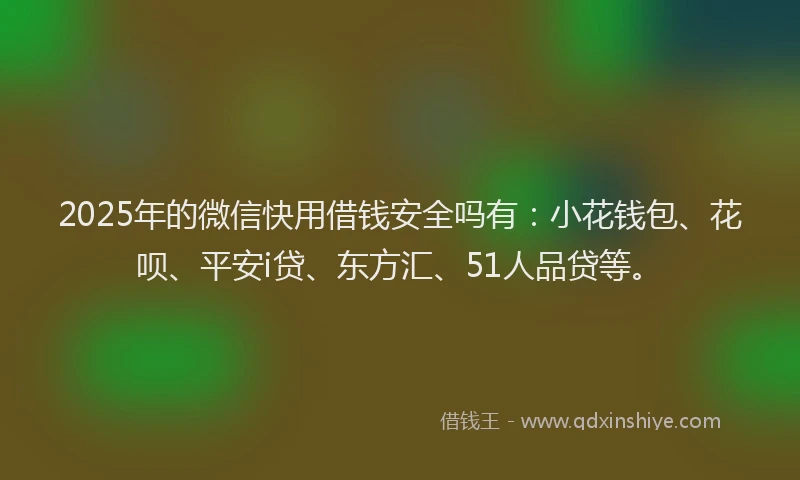 2025年的微信快用借钱安全吗有：小花钱包、花呗、平安i贷、东方汇、51人品贷等。