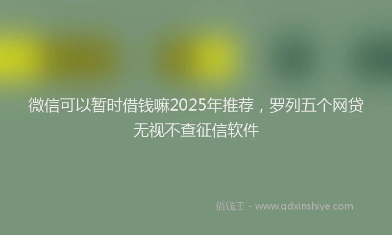 微信可以暂时借钱嘛2025年推荐，罗列五个网贷无视不查征信软件