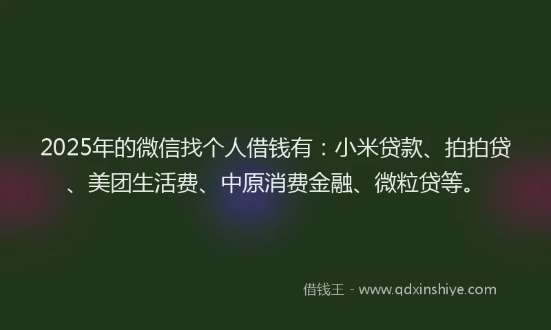 2025年的微信找个人借钱有：小米贷款、拍拍贷、美团生活费、中原消费金融、微粒贷等。