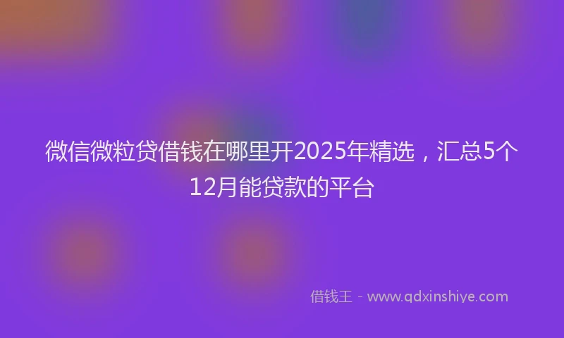 微信微粒贷借钱在哪里开2025年精选，汇总5个12月能贷款的平台