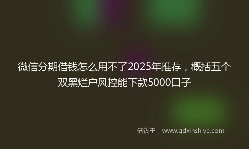 微信分期借钱怎么用不了2025年推荐，概括五个双黑烂户风控能下款5000口子