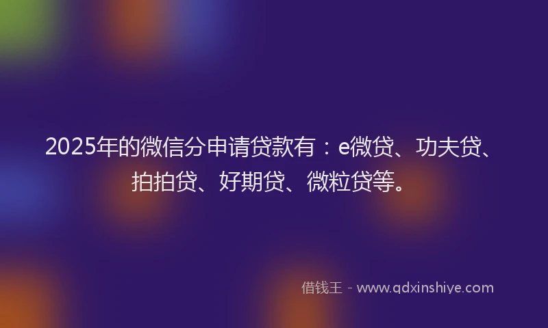 2025年的微信分申请贷款有：e微贷、功夫贷、拍拍贷、好期贷、微粒贷等。