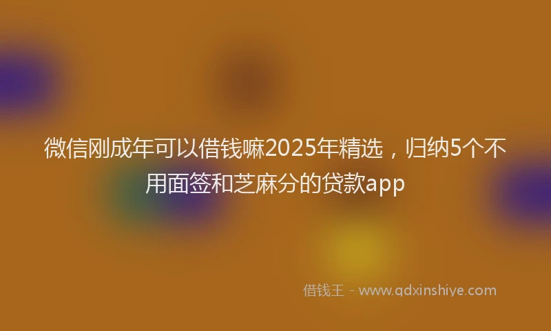 微信刚成年可以借钱嘛2025年精选，归纳5个不用面签和芝麻分的贷款app