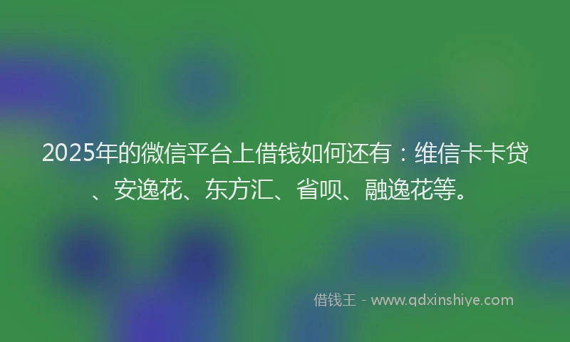2025年的微信平台上借钱如何还有：维信卡卡贷、安逸花、东方汇、省呗、融逸花等。