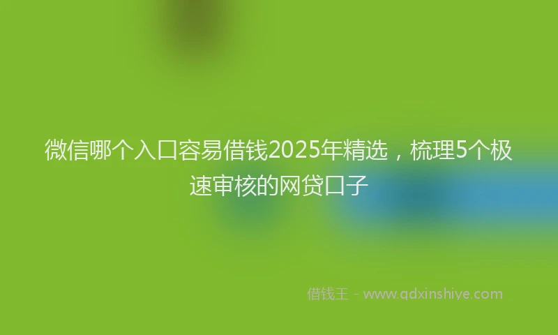 微信哪个入口容易借钱2025年精选，梳理5个极速审核的网贷口子