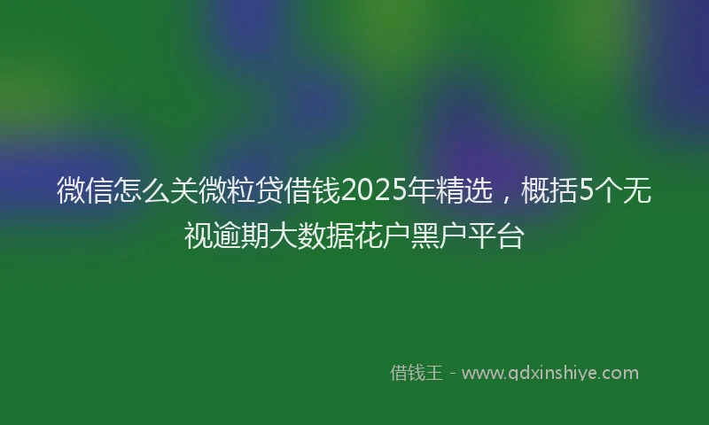 微信怎么关微粒贷借钱2025年精选，概括5个无视逾期大数据花户黑户平台