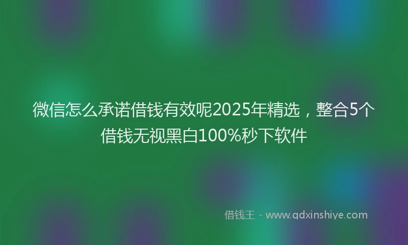 微信怎么承诺借钱有效呢2025年精选，整合5个借钱无视黑白100%秒下软件
