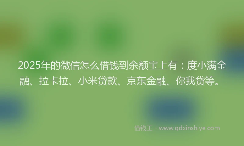 2025年的微信怎么借钱到余额宝上有：度小满金融、拉卡拉、小米贷款、京东金融、你我贷等。