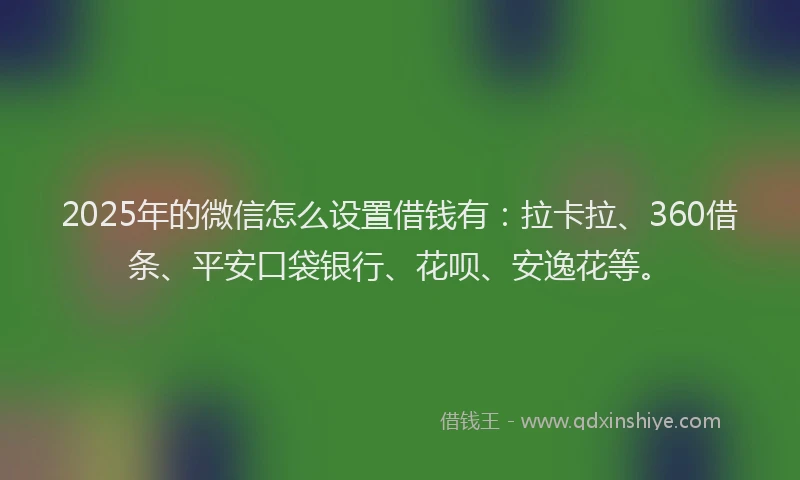 2025年的微信怎么设置借钱有：拉卡拉、360借条、平安口袋银行、花呗、安逸花等。
