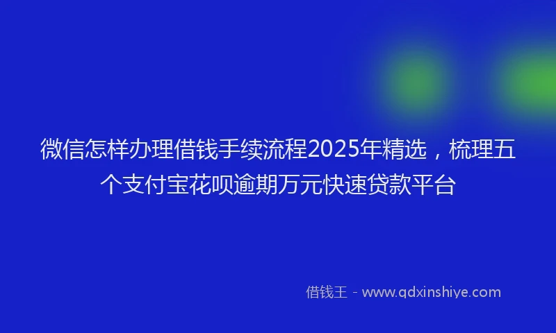 微信怎样办理借钱手续流程2025年精选，梳理五个支付宝花呗逾期万元快速贷款平台