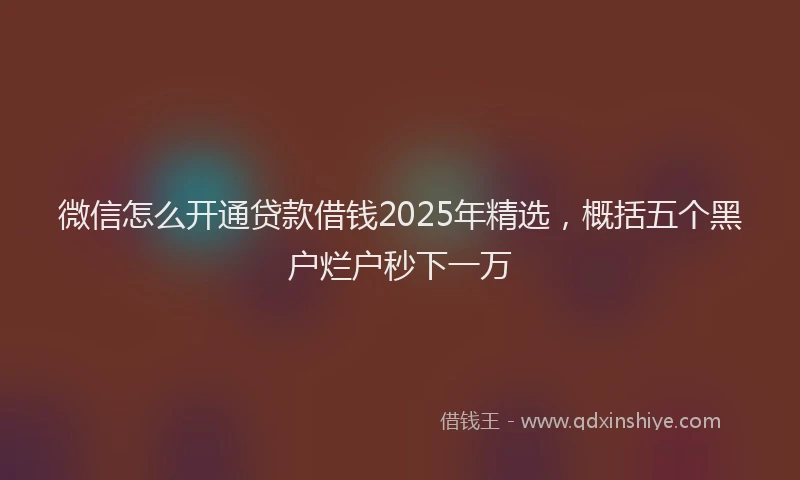 微信怎么开通贷款借钱2025年精选，概括五个黑户烂户秒下一万