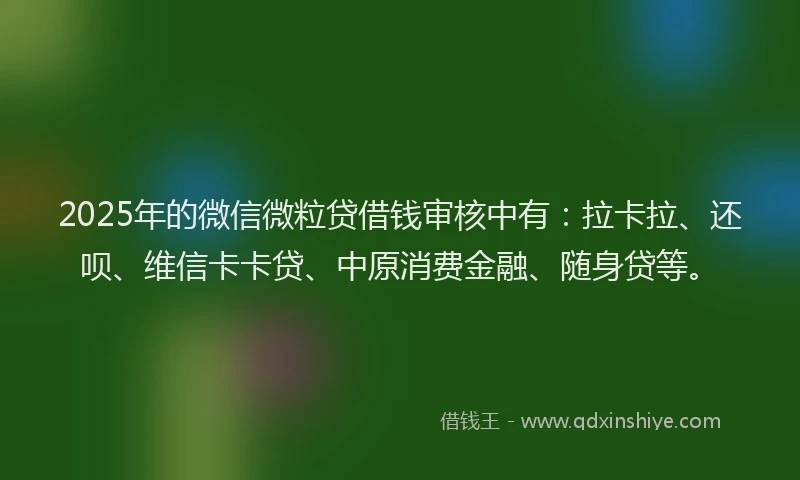 2025年的微信微粒贷借钱审核中有：拉卡拉、还呗、维信卡卡贷、中原消费金融、随身贷等。
